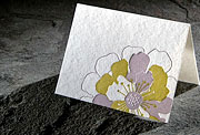 Bloom letterpress gift enclosure or eco place card