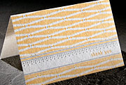 Beatrix yellow, goldenrod and gray eco thank you (formerly 350T)