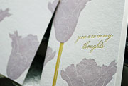In my thoughts sympathy letterpress card