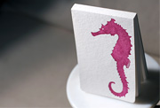 seahorse-memo-notebook
