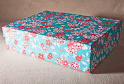pearl-medium box