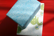 Liony blue and green playful children's gift wrap