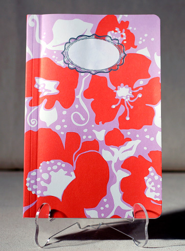 VIEW WIDE IMAGE picadilly-notebooks